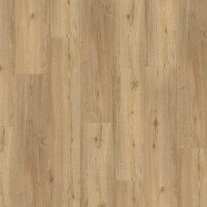 SPC ламинат parador Basic 5.3 Oak Natural Brushed